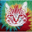 elizalovelace avatar