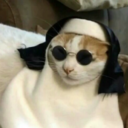 elizejski-cien avatar