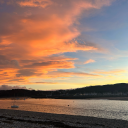 ellabellasmella avatar