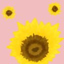 ellalovessunflowers avatar