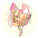 ellecblog-blog avatar