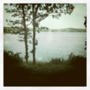 ellekrauselyons avatar