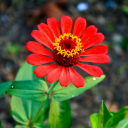 ellelovestoshoot avatar