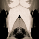 ellerestesilencieuse avatar