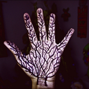 ellerivarkadinin-blog avatar