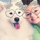 ellie-the-smiling-samoyed avatar