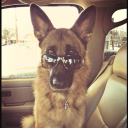 elliefucker69 avatar