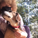 elliesaurus-art avatar