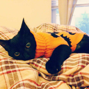 elliesmoomoocollection avatar