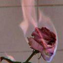 elliot-gay-boi avatar