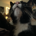 elliotmoon333 avatar