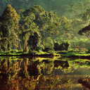 elliotosrandos avatar