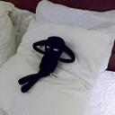 elliott-bogman avatar