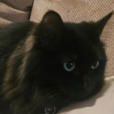 elliottbee2561 avatar