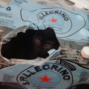 elliotthaunted avatar