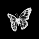 elloriya avatar