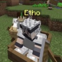 ellytraoflight avatar