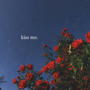 elmalarjelibonlarvekediler avatar