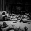 elmstreetcornerstore avatar