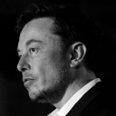 elonmuskdaily avatar