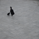 elphiessolsikke avatar