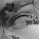 elrielxmanorian avatar