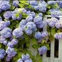 elsavonrichthofen avatar