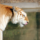 elucidatephotography avatar