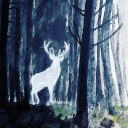 elvesandthecity avatar