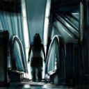 elvisferreira19 avatar