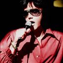 elvispresleythekingofrockandroll avatar