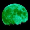 elvontfogalom99 avatar