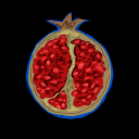 elvythestarchild avatar