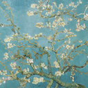 elysian-plains avatar