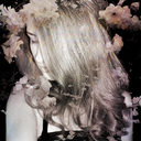 elysianorphic avatar