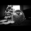 emazingkxte-blog avatar