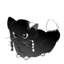 emberizidaemelo avatar