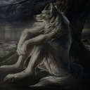 emberstoleyourgender avatar