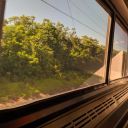 emberwishestheywereacrow avatar