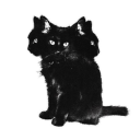 embodimentofpearl avatar