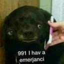 embrace-suffer-destroy avatar