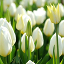 embrace-the-freak1 avatar