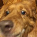 embrace-the-satan avatar