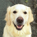 embrace-y0ur-dreams avatar