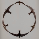 embracehatr3d avatar