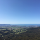 embracethe-earth avatar