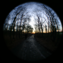 embracethelens avatar