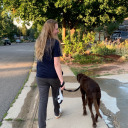 embracethetemporary avatar