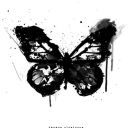 embracewonder avatar