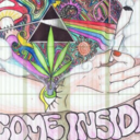 embrion-apomictico avatar